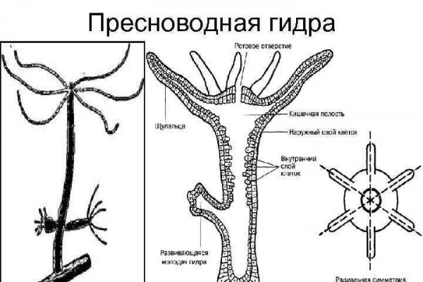 Ссылка на кракен тор браузер