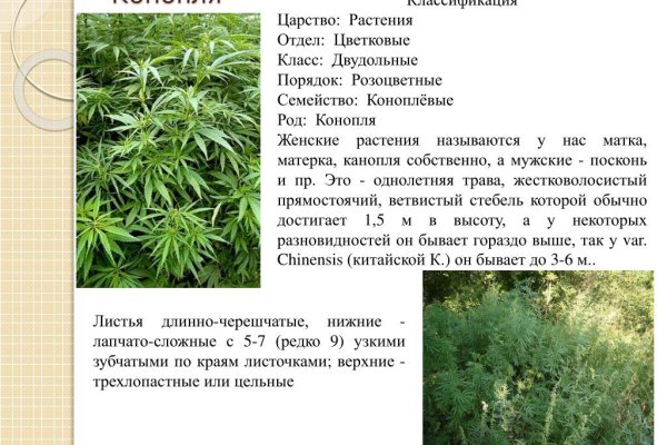 Как восстановить аккаунт кракен
