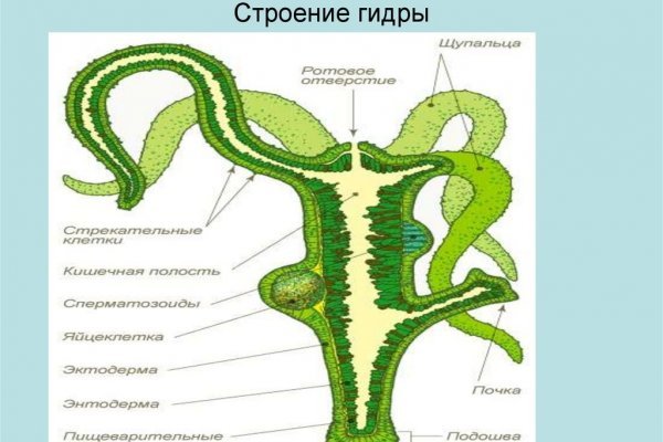 Скачать кракен тор