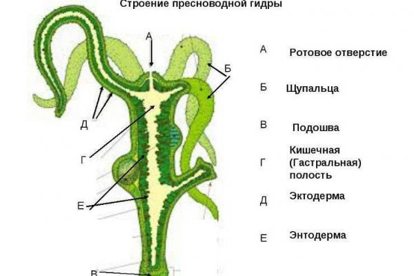 Кракен зеркала официальные